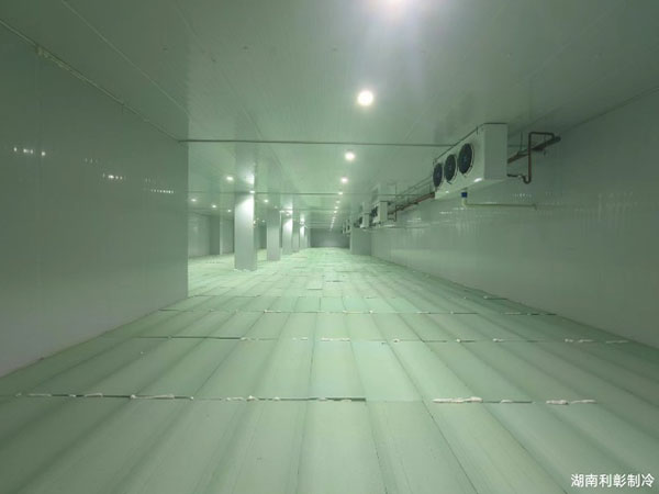 湖南利彰制冷工程有限公司,湖南利彰制冷工程,利彰制冷工程,冷庫(kù)安裝,冷庫(kù)板,冷庫(kù)門,冷庫(kù)配件,冷庫(kù)哪家好